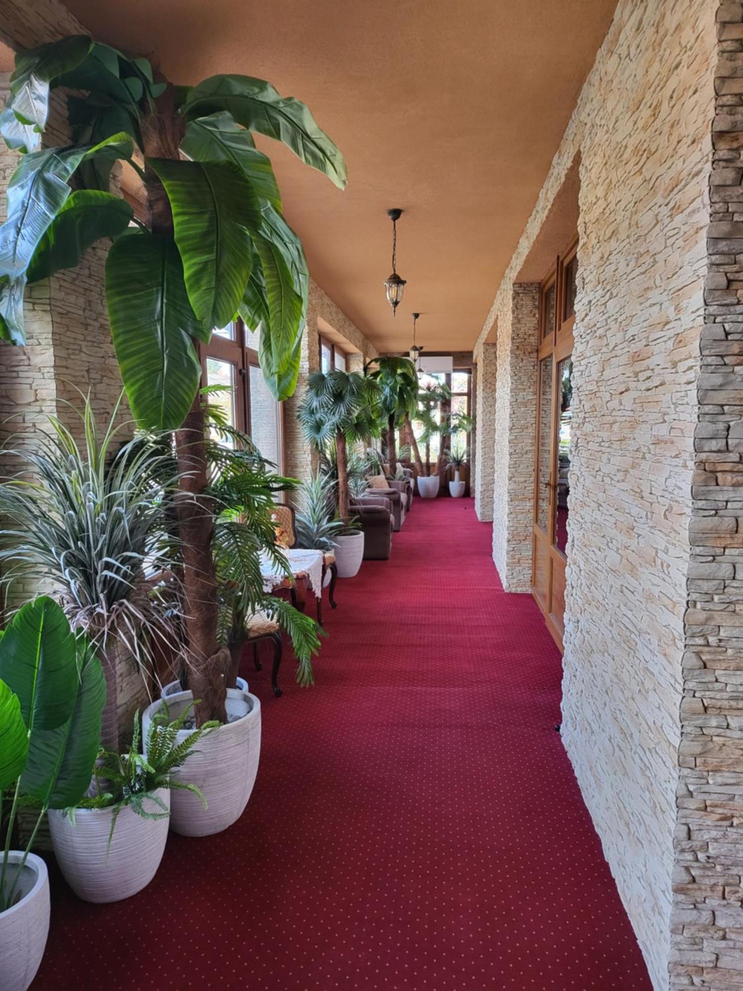 Voeroes Alom Panzio Bed & Breakfast Tiszakécske Exterior foto